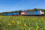Morgens bei Eglharting am 27.09.26 rollt die 186 504 Railpool / Lineas mit KLV in Richtung Rosenheim.