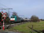 Cobra-Lok 2813 (186 205) durchfhrt mit einem Kesselwagenzug die Ortschaft Hoeselt (Belgisch-Limburg) in Richtung Aachen-West.