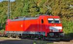 186 325-7 Lokportrait in Hrth-Kallscheuren - 04.10.2010