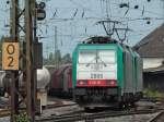 Cobra 186 197 (2805) und 186 206 (2814) rangieren am 16.07.2011 vor einen Gterzug der ber die Rampe der Montzenroute geschleppt werden mu.