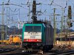 Cobra 186 224 (2832) rangiert am 11.12.2012 durch einen Wald von Masten, Signalen und Fahrdrahtanlagen in Aachen West. Im Hintergrund steht 203 304-1 der DGB mit einem leeren Langschienenzug und wartet auf Abfahrt Richtung Kln.