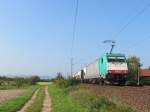 186 132 war am 3. Oktober 2014 mit einem Güterzug auf der linken Rheinstrecke gen Süden unterwegs. Hier ist dieser bei Gau-Algesheim zu sehen. 