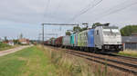 Lineas Doppeltraktion mit 186 295-2 und 2832 mit dem Stahlzug Gent-Zeehaven - Kinkempois am 08.08.2019 in s'Herenelderen.