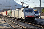 KLV-Zug mit 186 907-2 der Cargologic AG, eingestellt bei und vermietet an die Crossrail Benelux NV, durchfährt den Bahnhof Arth-Goldau (CH) auf Gleis 5 Richtung Flüelen (CH).
[20.9.2019 | 17:47 Uhr]
