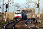 Kesselzug mit 186 136-8 (E 186 136) der Macquarie European Rail Ltd, vermietet an die ITL Eisenbahngesellschaft mbH (ITL), befährt die Herrenkrug-Eisenbahnbrücke nahe des Hp Magdeburg