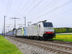 BLS / Railpool - Loks 186 107-9 und 485 510 vor Güterzug unterwegs bei Lyssach am 30.04.2016