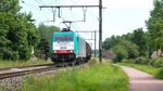 Cobra-Lok 2836 (186 228) durchfährt mit ihrem Güterzug die Ortschaft Hoeselt in Richtung Hasselt.