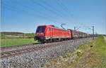 187 150-8 / Altmannshausen / 24.04.2019