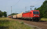 187 125 schleppte am 19.06.19 einen gemischten Güterzug durch Burgkemnitz Richtung Wittenberg.