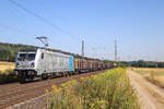 187 310 mit einem Holzzug am 03.08.18 in Kerzell