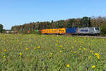 METRANS 187 509-5 am 25.9.26 mit einem Containerzug bei Eglharting.