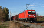 187 163 führte am 31.10.18 einen gemischten Güterzug durch Greppin Richtung Bitterfeld.