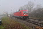 187 159 kam am nebeligen Freitagmittag des 18.12.2020 mit einem leeren Autotransportwagenzug nach Bad Friedrichshall Hbf durch Neckargerach