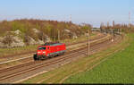 189 012-8 (Siemens ES64F4) unterwegs als Tfzf in Schkeuditz West Richtung Halle (Saale).

🧰 DB Cargo
🕓 4.4.2025 | 17:01 Uhr
