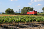 189 064 am Ortsrand von Böhl-Iggelheim unterwegs in Richtung Ludwigshafen.