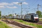 Mit wehenden Fahnen fährt die ES 64 F4 150 mit einem Seecontainerzug in Regensburg vorüber.Bild vom 27.5.2017