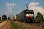 Mit einem Containerzug aus Rotterdam Waalhaven fuhr am 13.09.2016 die MRCE/SBBCI ES 64 F4-282 (189 282-7)  SBB Cargo International  bei Müllheim (Baden) in Richtung Schweizer Grenze.