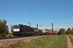 Am 13.10.2017 fuhr MRCE/SBBCI ES 64 F4-993 (189 093-8) mit einem langen Containerzug bei Hügelheim durchs Markgräflerland in Richtung Schweizer Grenze.