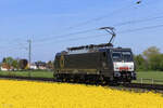 ES 64 F4-802 (Beacon Rail) in Meerbusch B�singhoven, 24. April 2026