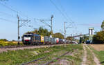 189 994 mit dem DGS 40027 (Darmstadt Gbf - Mortara) in Friesenheim 10.9.26