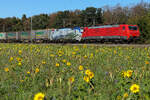 189 822 ex DB Cargo, jetzt bei Lokomotion und die alt bekannte 193 773 Brenner Lok mit Ambrigo Speditionszug am 26.09.26 bei Eglharting.