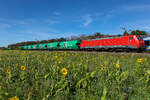 189 223 ex Db Cargo nun für lokomotion im Einsatz mit diesen Ganzzug an Borsari Wagen am 27.09.26 bei Eglharting.