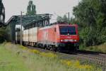 WLE 81 mit Warsteinerzug am 17.08.2011 bei Woltorf