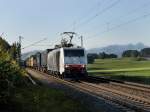 Die 189 914 am 03.09.2011 mit einem KLV-Zug unterwegs bei Hilperting. 