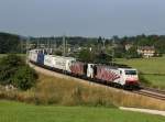 Die 189 918 und die 189 904 mit einem KLV-Zug am 24.08.2013 unterwegs bei Teisendorf.