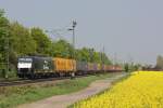 MRCE Dispolok/ERS Railways ES 64 F4-290 am 4.5.13 mit einem Containerzug in Menden.