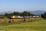 189 995 mit Autozug am 05.08.2015 bei Rann.