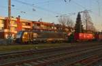 Aus Richtung Grevenbroich kommend ist die 189 095 mit einem Containerzug in Rheydt bei der Durchfahrt nach Mönchengladbach von mir abgelichtet worden. 17.3.2016