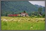 Eine ES64F4 von RTC und eine ES64F4 von Lokomotion, bringen bei Niederaudorf den  WINNER-EXPRESS  (Duisburg-Mnchen-Verona) im Sommer 2005 richtung Kufstein.