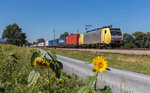 189 926 fährt mit einem EKOL bei Übersee in Richtung Tauern, aufgenommen am 8. September 2016.