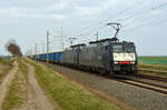 Zusammen mit 189 290 schleppte 189 288 für die BELog einen Hochbordwagenzug am 26.03.22 durch Braschwitz Richtung Halle(S).