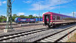 Knappe Lücke:  Die Mukran-Port-Lok 192 103-0 (Siemens Smartron) taucht mit Containern von den Buna-Werken Richtung Hamburg im Bahnhof Angersdorf hinter Euro-Express-Wagen auf.
