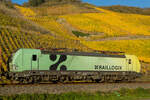 Raillogix Vectron  193 507  [NVR-Nummer: 91 80 6193 507-1 D-ELOC] past farblich gut ins Gesamtbild am 4.11.24 ins gelb gefärbte Rheintal.