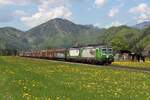 Die 193 693 und die 193 765 bringen am 29.4.2025 einen Güterzug von Hallein nach Jesenice hier kurz hinter dem Bahnhof Hinterstoder.