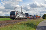 Der RFO-Hai 193 949 schleppte am 14.09.25 dem MAN-Zug durch Wittenberg-Labetz Richtung Magdeburg.