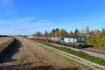 193 261 mit DGS 40641 am 31.10.2018 bei Langenisarhofen. 