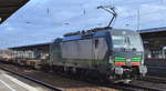 TXL - TX Logistik AG mit der ELL Vectron   193 282  [NVR-Number: 91 80 6193 282-1 D-ELOC] und nicht vollständig voll beladenen KLV-Zug ab Rostock bei der Durchfahrt Bf. Flughafen berlin-Schönefeld, 28.01.19