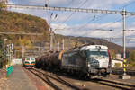 193 844-8 ist am 20. Oktober 2018 in Decin hl.n. unterwegs. Im Hintergrund steht noch E 499 0042. 