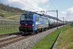 Vectron 193 522 von SBB Cargo International mit einem Kesselwagenzug bei Cressier am 15.