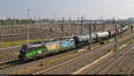 Nach einem Richtungswechsel verlässt der  Flying Dutchman  alias 193 232-6 (Siemens Vectron) die Zugbildungsanlage (ZBA) Halle (Saale) in nördlicher Richtung. Die Lok ist die 100. im Bestand von ELL und wirbt für die Hafenverbindung Rotterdam (NL)–Constanta (RO).
Aufgenommen von der Berliner Brücke.

🧰 ELL Austria GmbH (European Locomotive Leasing), vermietet an die LTE Logistik- und Transport-GmbH (LTE)
🕓 7.6.2021 | 16:24 Uhr