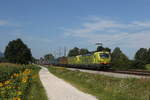 193 559 & 193 552 mit einem  KLV  aus München kommend am 12. August 2021 bei Übersee am Chiemsee.