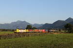 193 551  Zwei Pole  & 193 557  Our daily Heroes  mit einem  KLV  aus Salzburg kommend am 2. September 2021 bei Bernau am Chiemsee. 