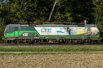 E11 193 262 mit einer Sonderbemalung am 28.09.23 bei Eglahrting.