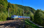 193 837 mit einem KLV am 26.09.2023 bei Ingling.