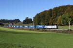 193 993 war mit einem  WALTER-KLV  am 25. Oktober bei Axdorf im Chiemgau in Richtung Salzburg unterwegs.