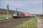 X4E-643 (193 643-4) ist mit einem Aufliegerzug am 26.03.2024 bei Kerzell unterwegs.